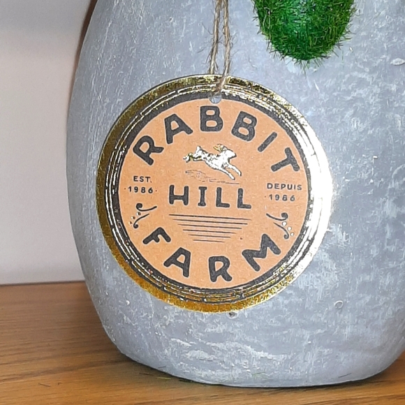 Faux-Grass Rabbit in an Easter Egg NWT - Picture 3 of 5